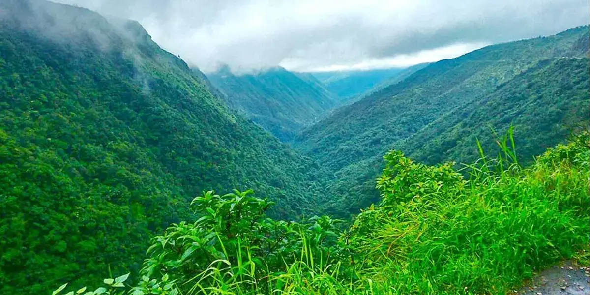 Green Valley Kufri